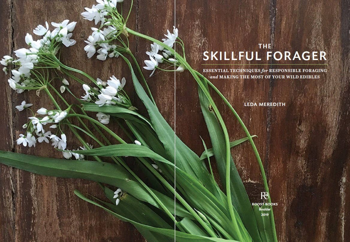 Skillful Forager: Essential Techniques for Responsible ...