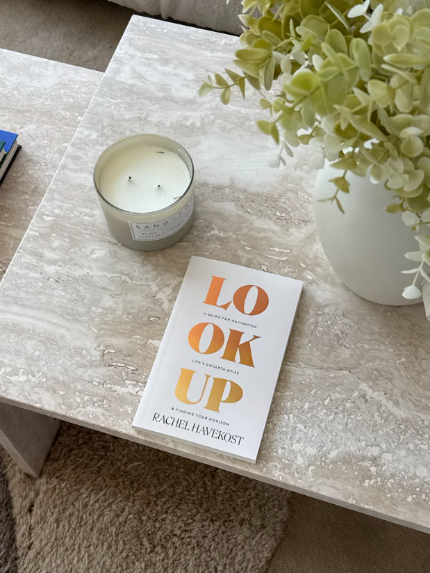 Look Up (book)