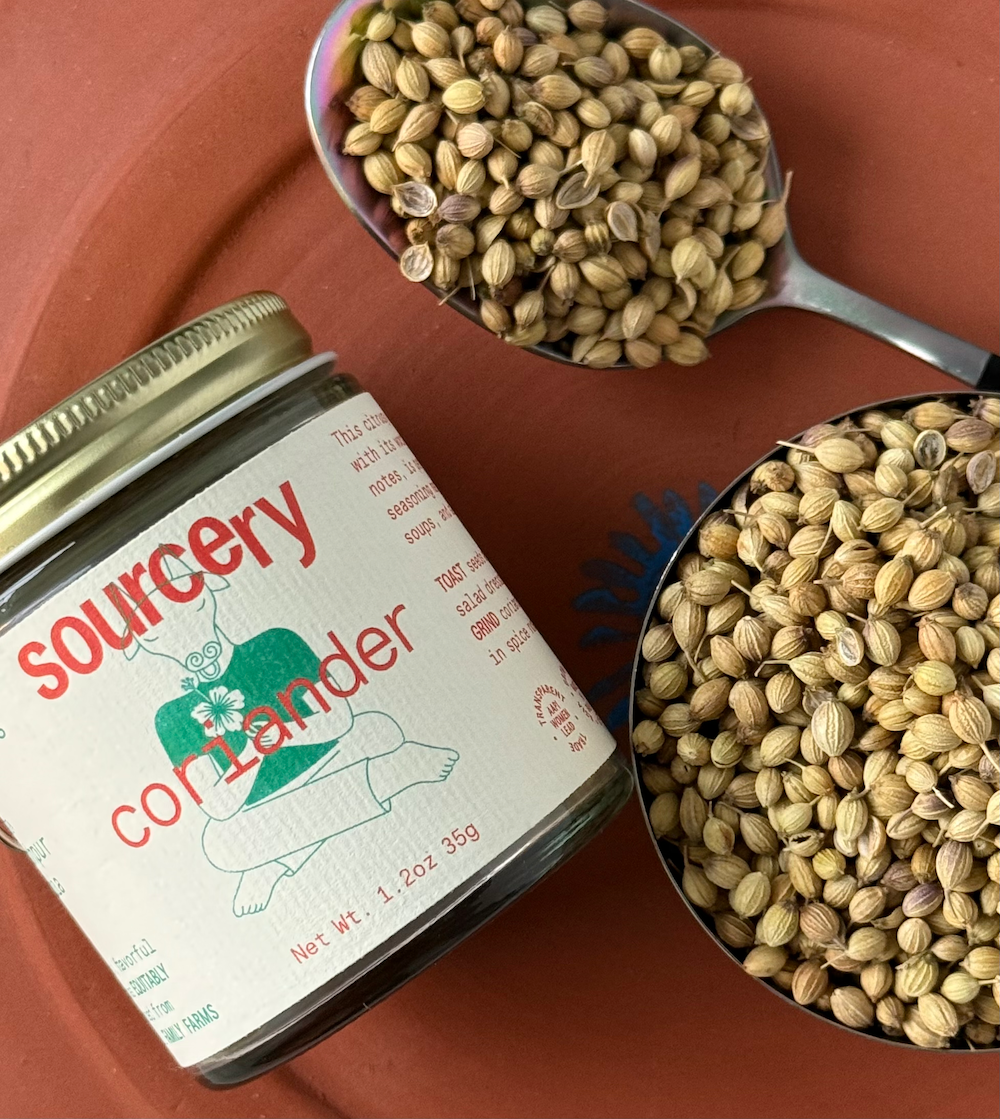 Coriander