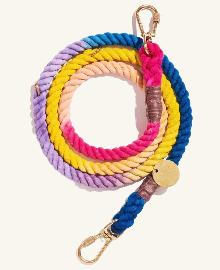 Adjustable Dog Leash— light prismatic M