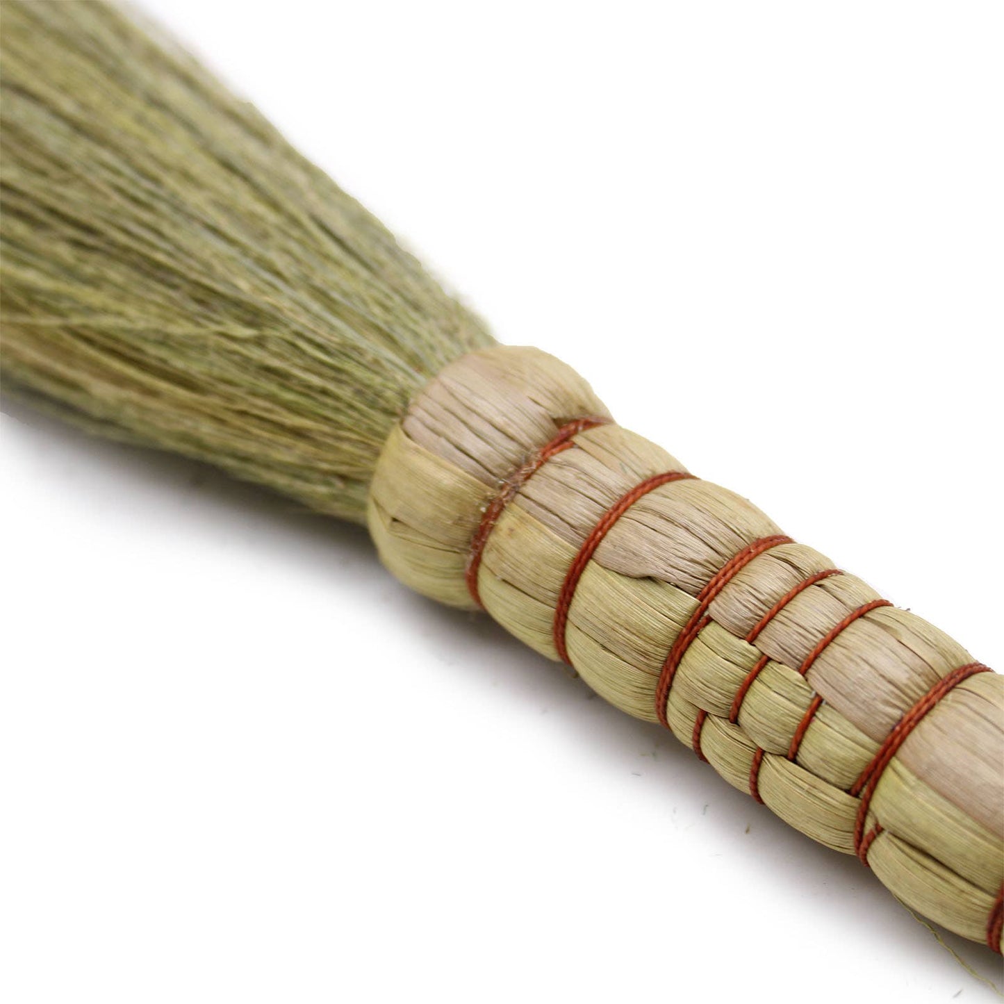 Indonesian Pampus Broom