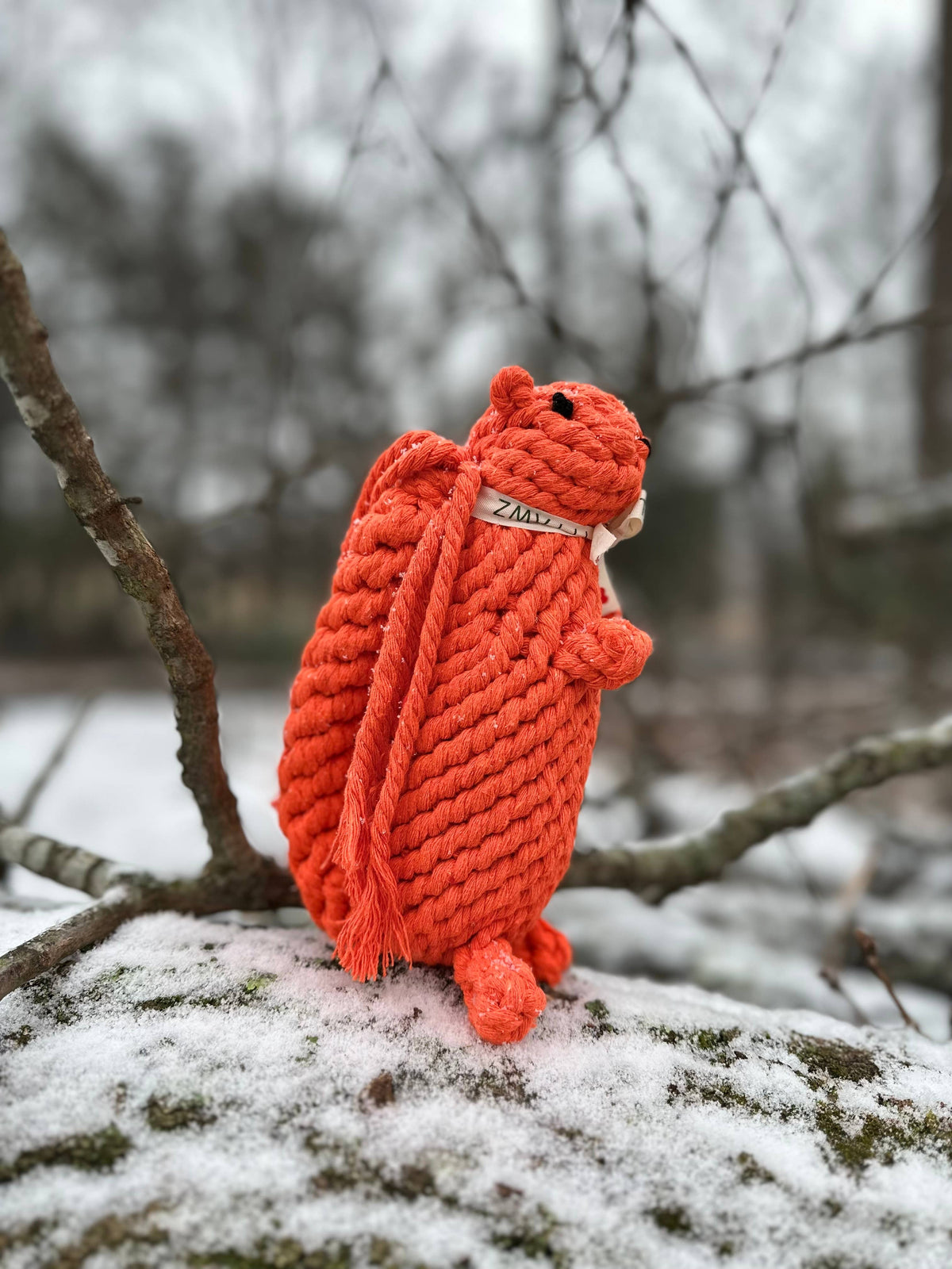 Oliver the Squirrel Rope Toy | Handcraft : Large