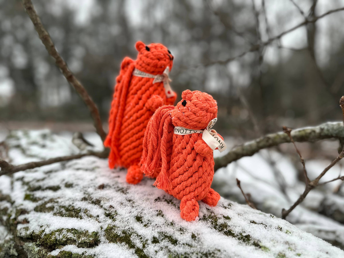 Oliver the Squirrel Rope Toy | Handcraft : Large
