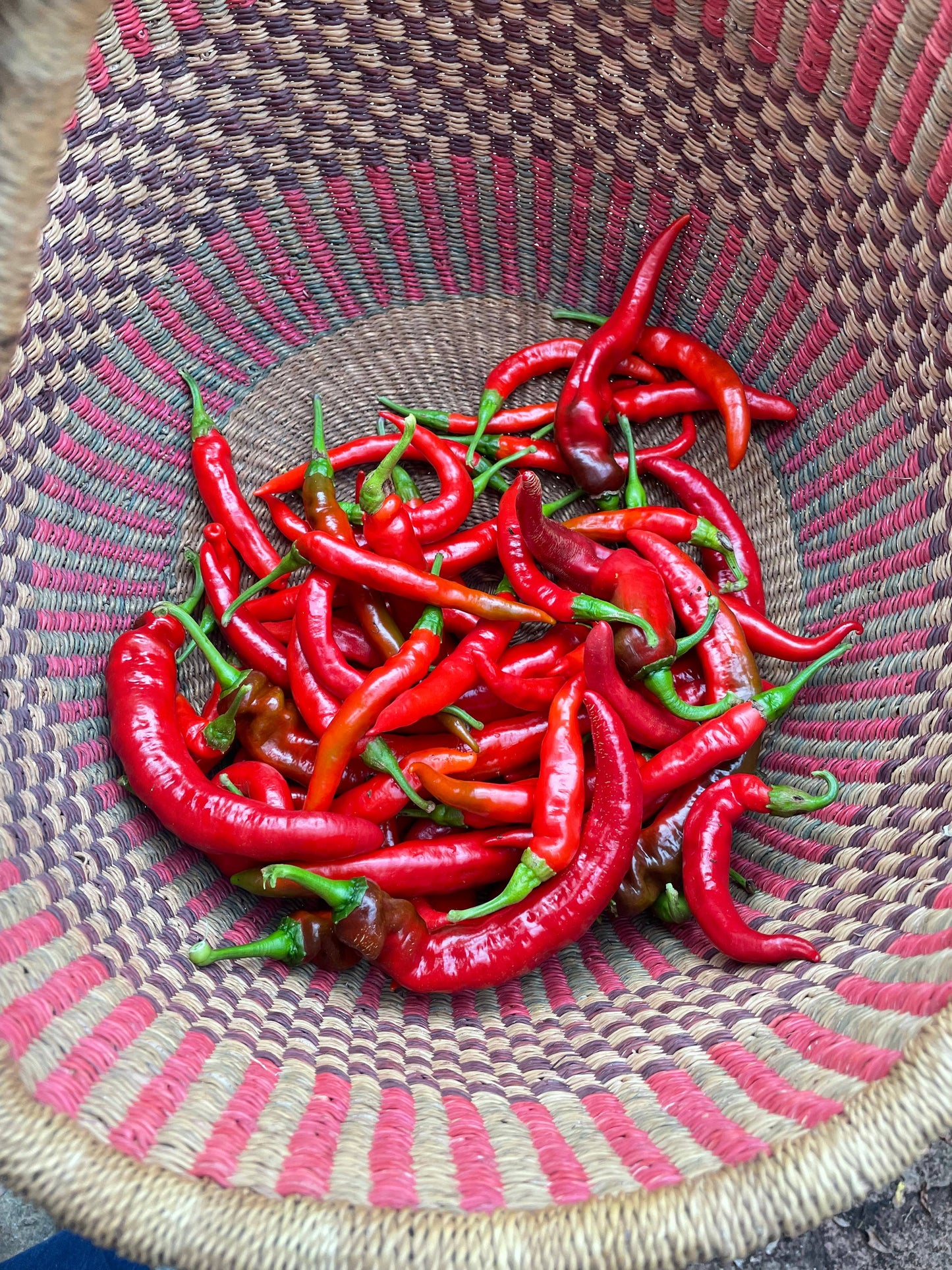 Fermented Cayenne Hot Sauce