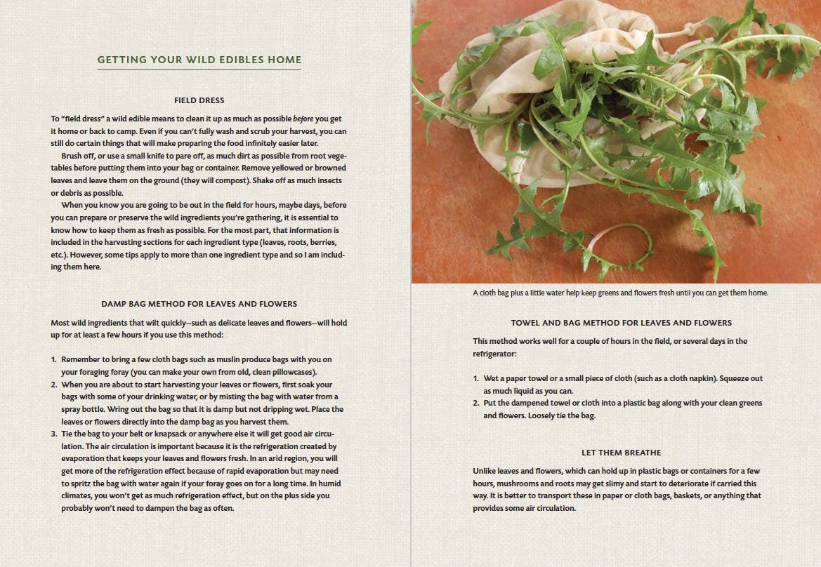 Skillful Forager: Essential Techniques for Responsible ...