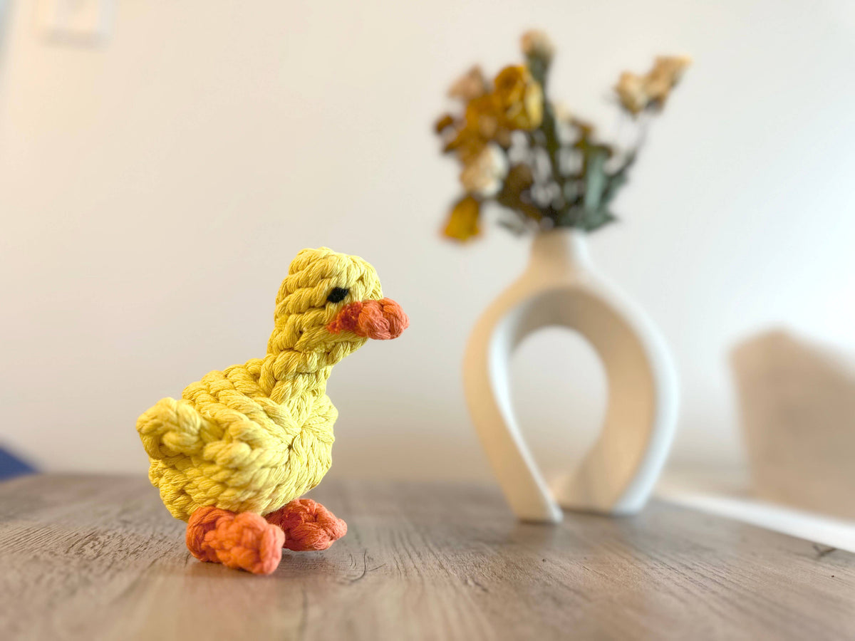 Handmade Yellow Duck Rope Toys - For Small Dogs