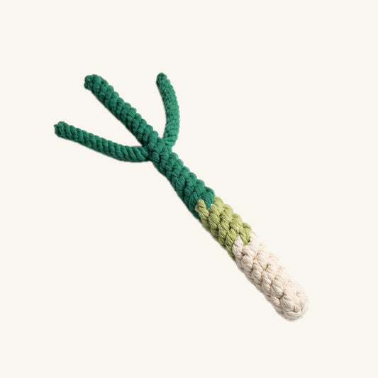 Monli Handmade Green Onion Rope Tug Toy | Toys for Small Pet