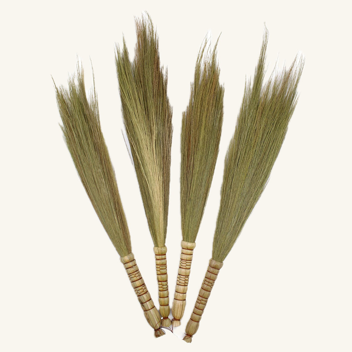 Indonesian Pampus Grass Broom