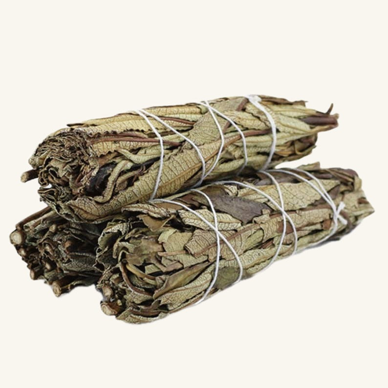 Smudge Stick - Yerba Santa (4 in.)