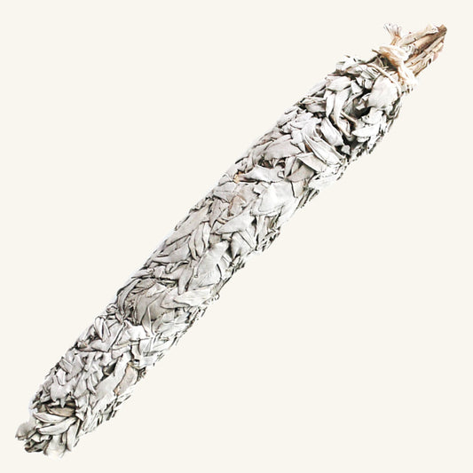 White Sage Smudge Stick - California Jumbo (20 in.)